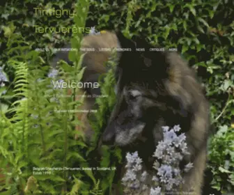 Tintigny.com(Tintigny Belgian Shepherds (Tervueren)) Screenshot