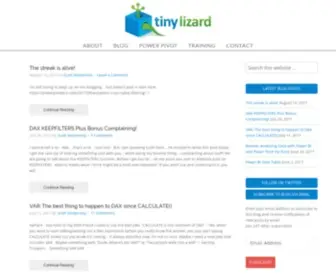 Tinylizard.com(Tiny Lizard is a consulting firm specializing in Power Pivot (PowerPivot)) Screenshot