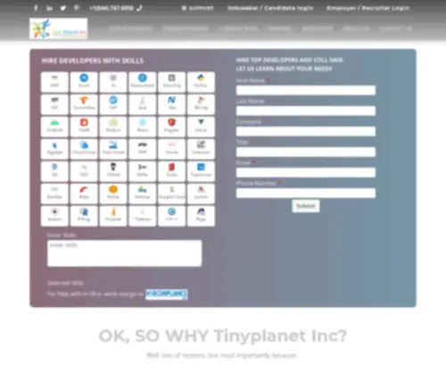 Tinyplanetinc.com(Tiny Planet Inc) Screenshot