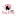 Tinypropshop.com Favicon