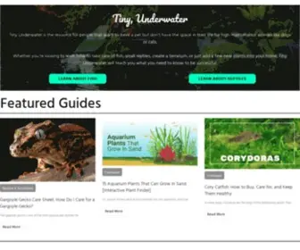 Tinyunderwater.com(Tiny Underwater) Screenshot