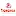 Tionghoa.com Favicon