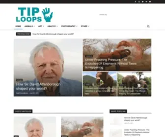 Tiploops.com(Home) Screenshot