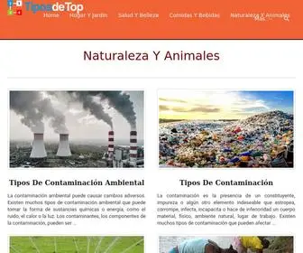 Tiposde.top(Tipos De) Screenshot