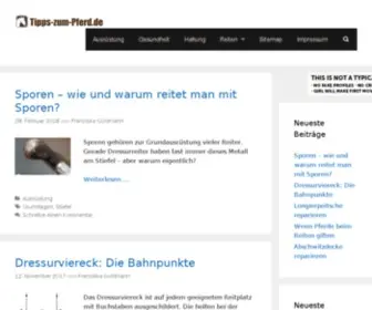 Tipps-Zum-Pferd.de(Tipps rund um reiten und pferde) Screenshot