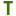 Tipsdeviajero.com Logo
