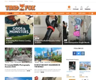 Tiredfox.com(The Only Magazine For Foxes) Screenshot