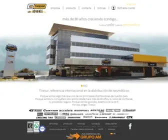 Tiresur.com(Distribuidor neumaticos) Screenshot