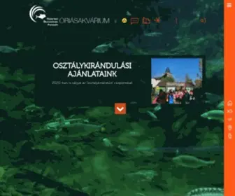 Tiszataviokocentrum.hu(Tisza-tavi Ökocentrum) Screenshot