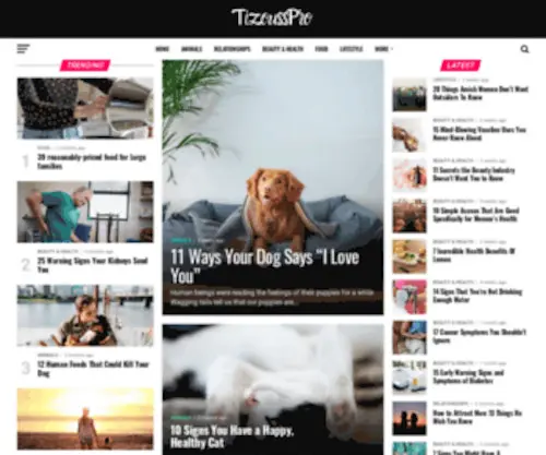 Tizouss.com(tizouss) Screenshot