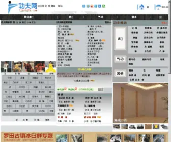 Tjgongfu.com(爱功夫网) Screenshot