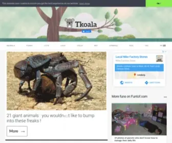 Tkoala.com(Cute and fun pictures for everyone on) Screenshot