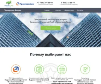 TL-Fin.ru(TenderLand Finance) Screenshot