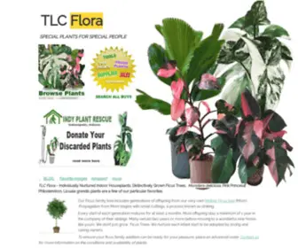 TLCflora.com(TLC FLORA Exotic) Screenshot