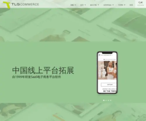 TLgcommerce.cn(北京蒂尔基网络科技有限公司) Screenshot
