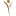 TMclife.com Favicon