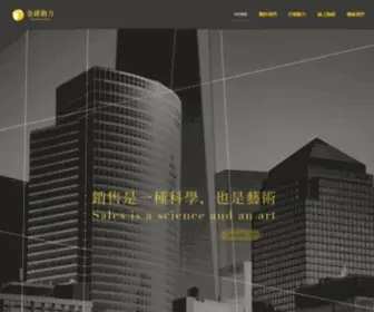 TMT2010.com(金磚動力行銷) Screenshot