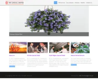 Tmtindia.in(TMT (INDIA) LIMITED) Screenshot