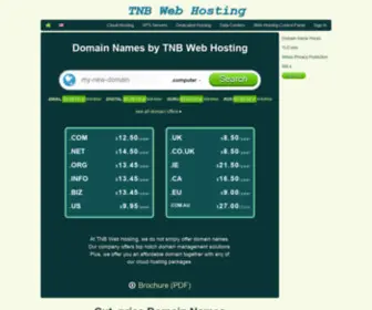 TNbwebhosting.com(Domain Names) Screenshot