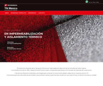 Tnmexico.com(TN México) Screenshot