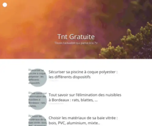 TNT-Gratuite.fr(TNT Gratuite) Screenshot