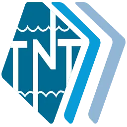 TNT-Logisticsvn.com Favicon