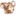 Tnvalleypecan.com Favicon