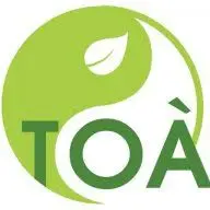 Toanchan.com Favicon