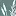 Toblachersee.com Favicon
