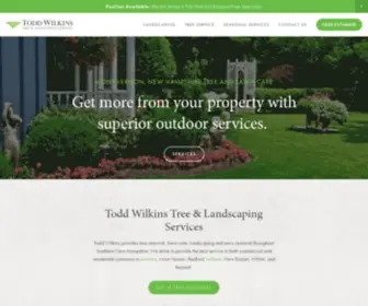 Toddwilkins.com(Todd Wilkins) Screenshot