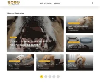 Todo-Mascotas.com(Galgoes) Screenshot