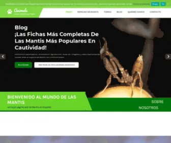 Todomantis.com(La Mejor Web sobre Mántidos en Español) Screenshot