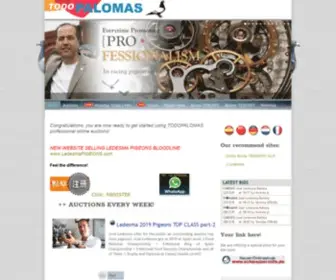 Todopalomas.com(International Pigeon Auction Site) Screenshot