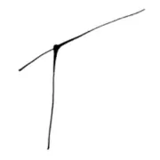 Todoroff.info Favicon