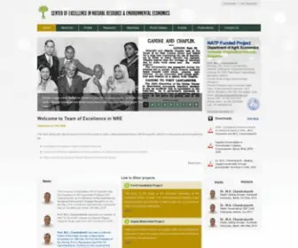 Toenre.com(Center of Excellence in Natural Resource Economics) Screenshot