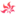 Togambo.cz Favicon