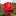 Tokobunganusantara.com Favicon