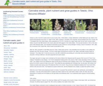 Toledocannabis.gq(Toledocannabis) Screenshot
