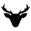 Tomdeer.co.kr Favicon