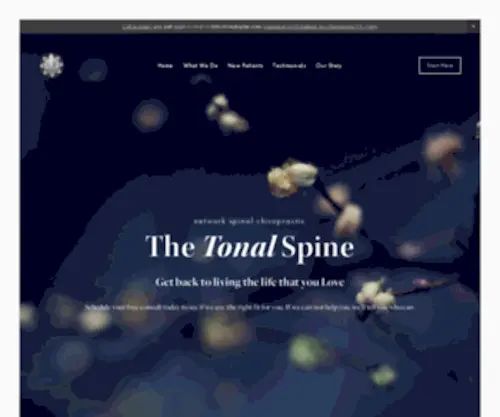 Tonalspine.com(Chiropractor Chattanooga TN) Screenshot