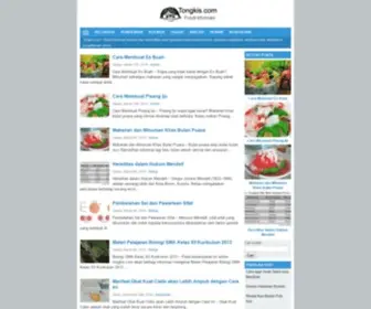 Tongkis.com(Pusat Informasi Bermutu dan Berkualitas) Screenshot