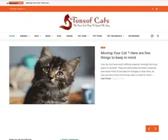 Tonsofcats.com(The "Purr"fect Way To Spend The Day) Screenshot