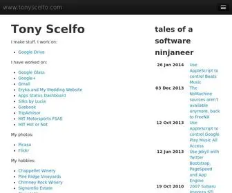 Tonyscelfo.com(Tales of a software ninjaneer) Screenshot