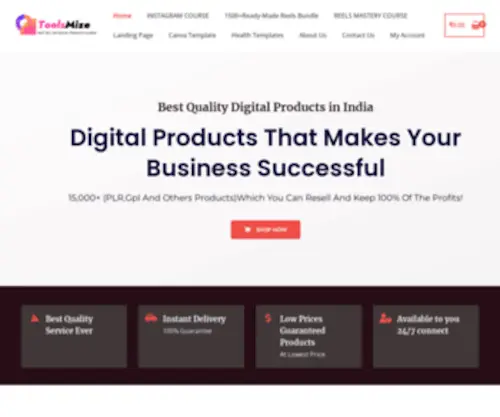 Toolsmize.in(Best Digital Products in india) Screenshot