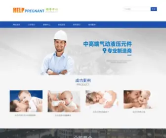 Top-Seo.com.cn(公司网) Screenshot