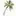 Top-Tourism.ru Favicon