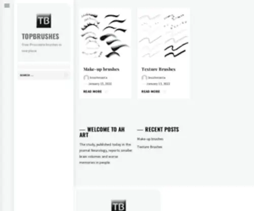 Topbrushes.com(Topbrushes) Screenshot