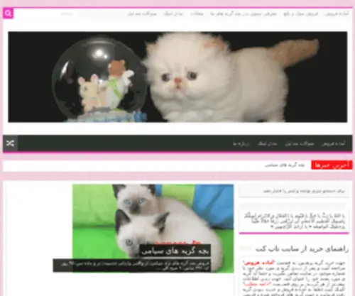 Topcat.ir(فروش گربه پرشین) Screenshot