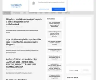 Topceg.info(Top Céginfó) Screenshot