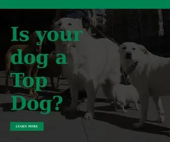 Topdogdogwalking.com(Top Dog Dog Walking) Screenshot